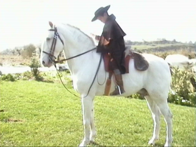 DamascoII