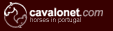 Desenvolvido por Cavalonet/DGTDesign