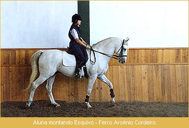 Foto 20